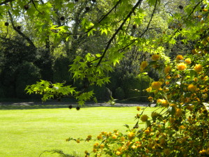 Parco
